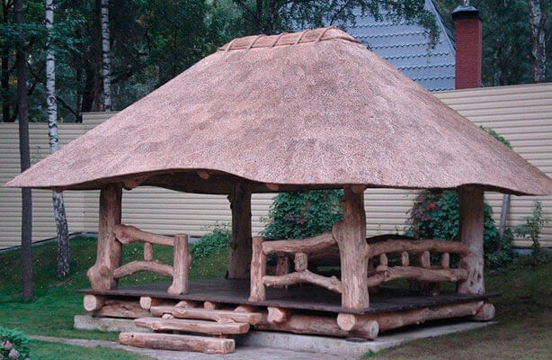 Боровик